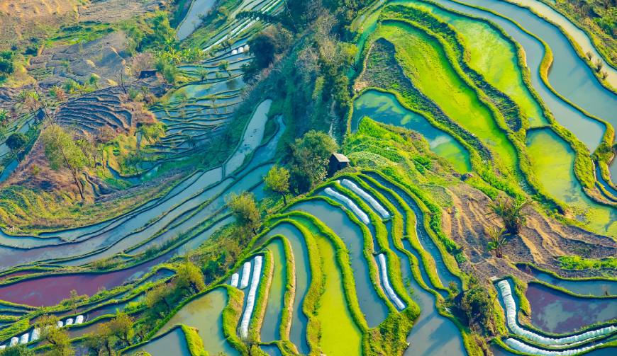 宝妈必备神器：东港市产品视频拍摄轻松育儿好帮手