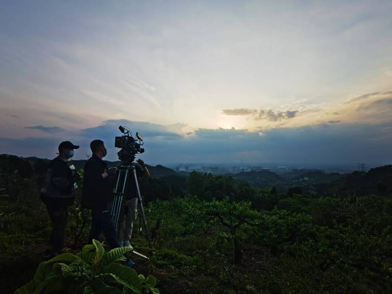聚焦东港市产品宣传视频拍摄公司，用专业实力铸就品牌传播传奇